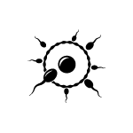 t2